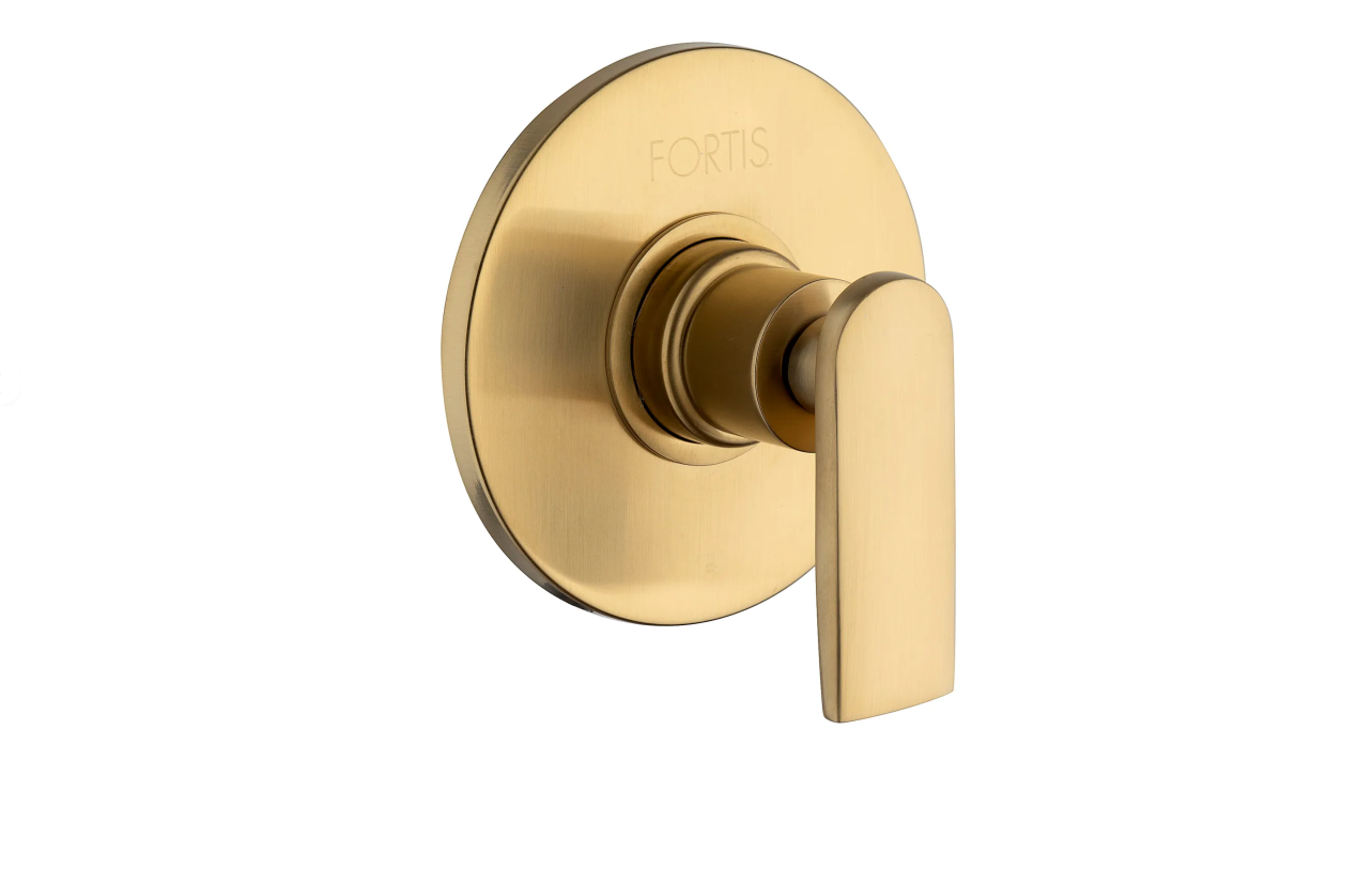 Fortis 6040200BG Vitrina Volume Control Valve Trim